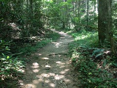 Bear Creek Trail 