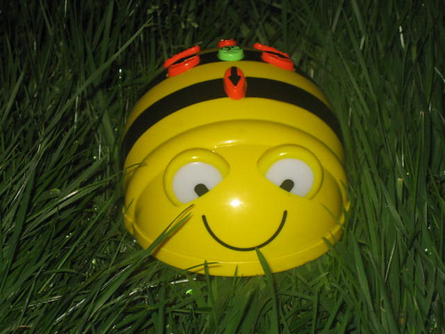 Beebot in the wild