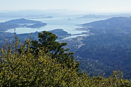 Looking South from Mt. Tamalpais
