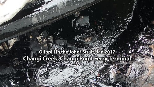 Oil spill in the Johor Strait (4 Jan 2017) from Changi Creek, Changi Point Ferry Terminal