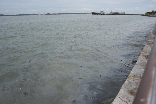 Oil spill in the Johor Strait (4 Jan 2017) from Changi Carpark 4