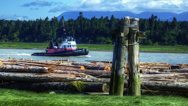 Tugboat on the North Arm of Fraser River