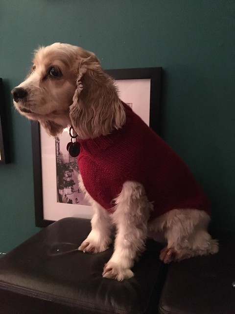 Sophie in her sweater