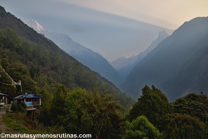 Trek ABC. De Sinuwa (2320 m) a Deurali (3150 m) - NEPAL 2016. Trek al Annapurna Sanctuary (ABC) (1)