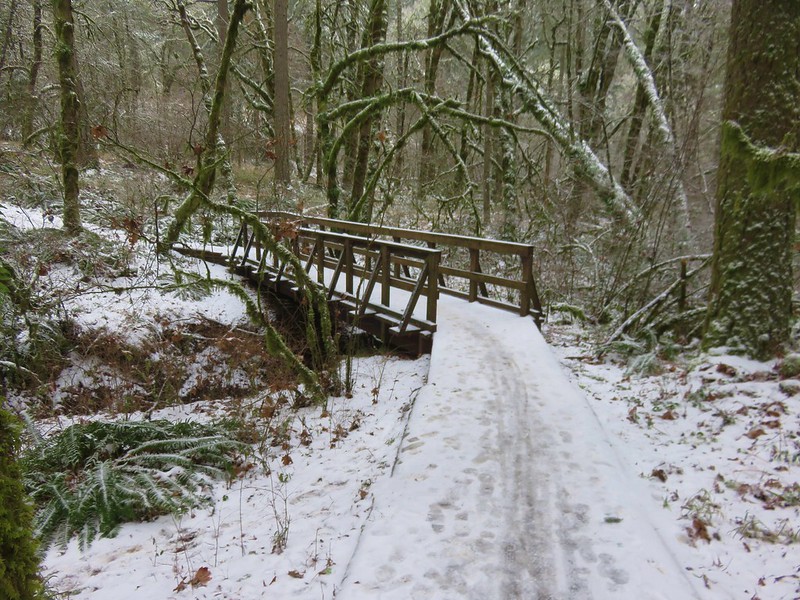 Upper Dan's Trail