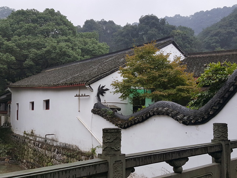 Longjing Tea Village
