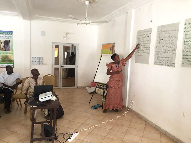Feed the Future Mali Livestock Technology Scaling (MLST) Project: livestock disease management workshop