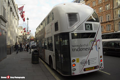 Wrightbus NRM NBFL - LTZ 1450 - LT450 - Indonesia Travel - Dulwich Library 12 - Go Ahead London - London - 161203 - Steven Gray - IMG_9533