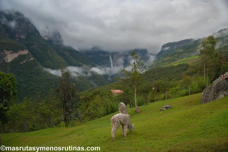 Yumbilla. Cataratas en el bosque primario de Cuispes - Por el norte de PERÚ. De los glaciares a la selva (17)