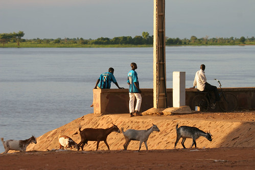 Fishermen and goats at the Niger River