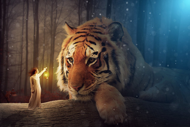 Tiger and girl lighting effect