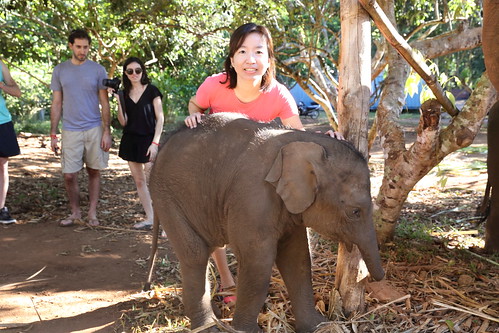 Patara Elephant Farm