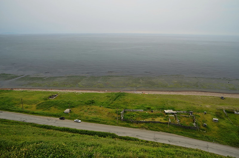DSC_6881