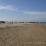 La Marina Nudist Beach  / Playa del Tusals