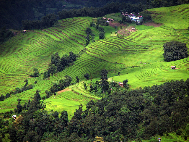 photo of Sikkim Farm