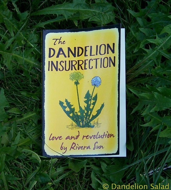 The Dandelion Insurrection by Rivera Sun