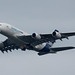 Airbus Industrie A380-800(F-WWDD)
