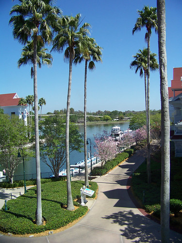 Grand Floridian Marina