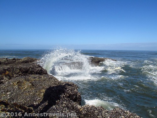 Waves along the old lava flow near Thor's Well, Cape Perpetua, Oregon
