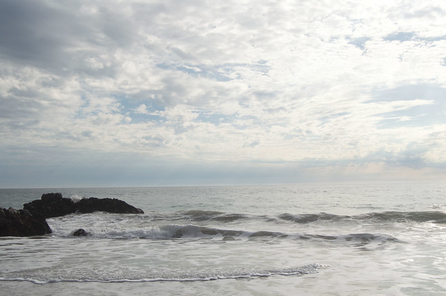 sycamore cove beach