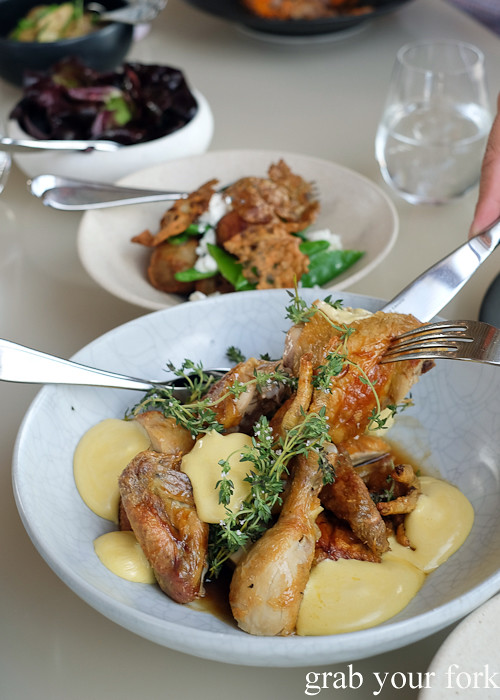 Roasted Holmbrae chicken with jus gras and lemon thyme emulsion at Bennelong Restaurant Sydney