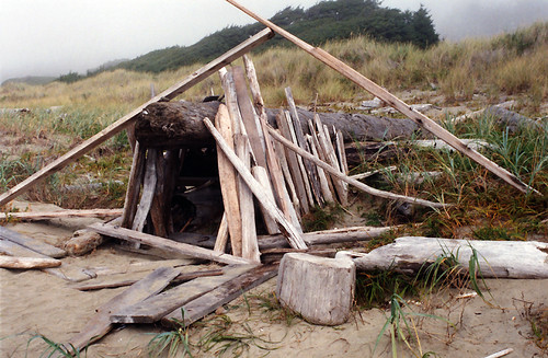 driftwood house amid the sea grasses on Long Beach, Vancouver Island