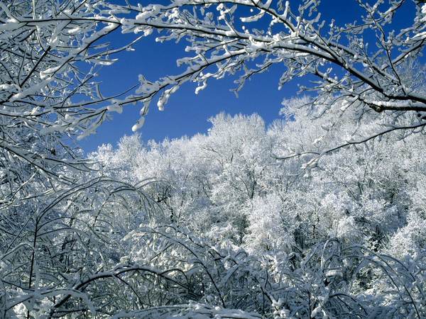 Все прелести зимы - ПоЗиТиФфЧиК - сайт позитивного настроения!