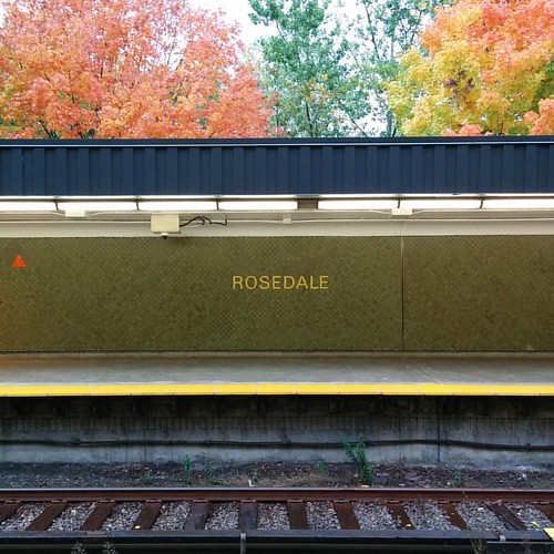 Looking across the tracks #toronto #fall #autumn #leaves #rosedale #ttc