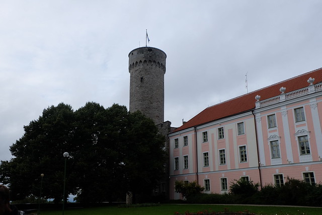 Día 6 - Tallin: Casco antiguo - Estonia & Letonia & Lituania agosto/sep 2016 (20)