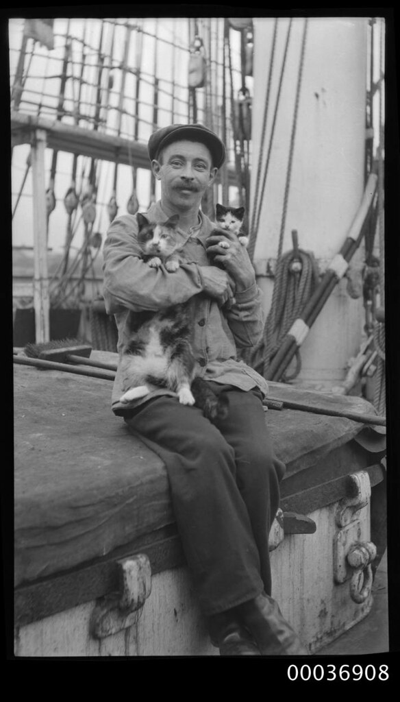 Seaman with a cat and kitten, c 1910 | by Australian National Maritime Museum on The Commons