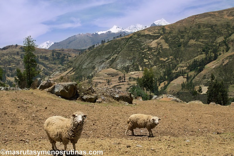 Huaraz. Laguna Wilcacocha. La vida andina en las montañas - Por el norte de PERÚ. De los glaciares a la selva (9)