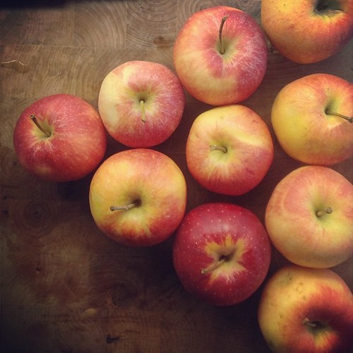 Harvest #washingtonapples #farmersmarket #gala #apples #autumn #pdx #portland #september #latesummer #pdxiger