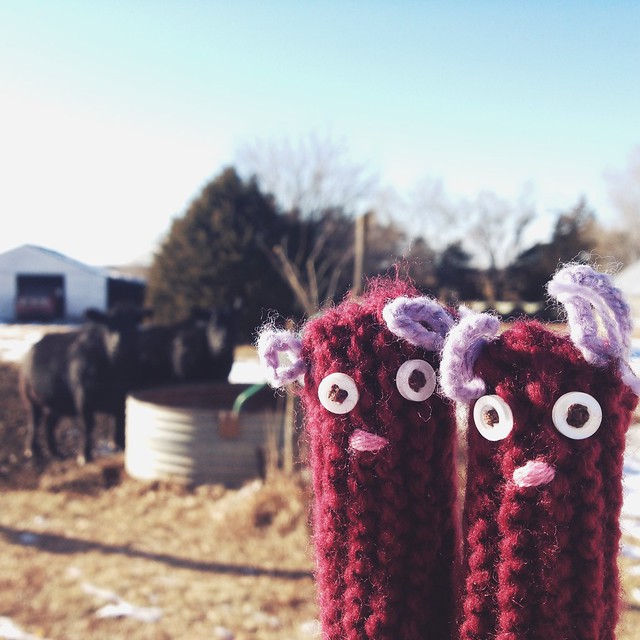 Fingerwarmers learn about life on the farm. #heycow #ricefieldcollective