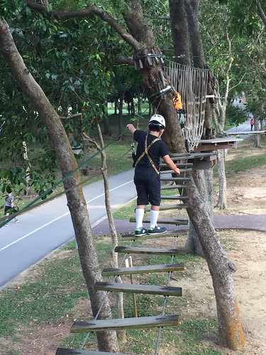 Singapore - Luge and Forest Adventure