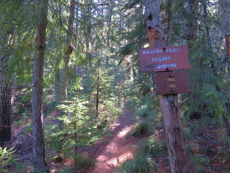 Palmateer Trail