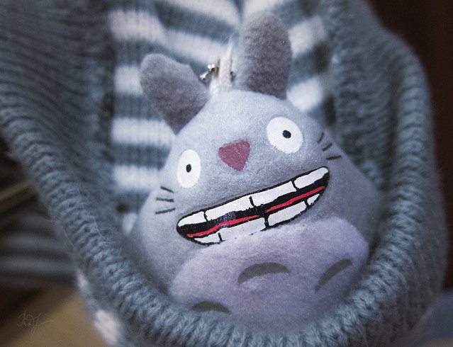 Day #337: totoro is ready to frost