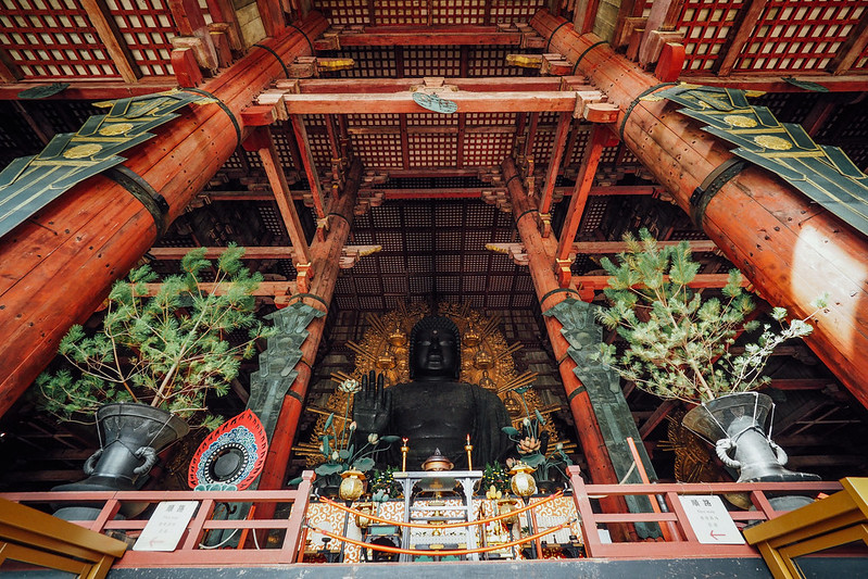 Todaiji 東大寺｜奈良 Nara