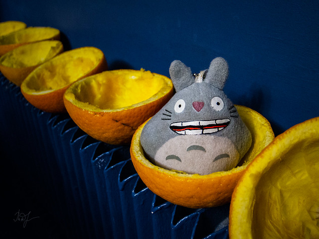 Day #317: totoro is participant of art-installation