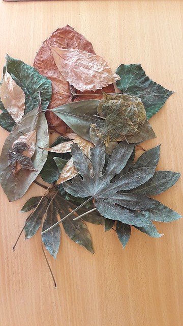Autunno: tenda di foglie