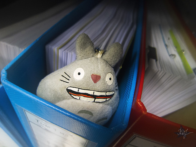 Day #263: totoro is hiding in the archive