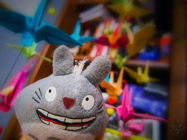 Day #307: totoro makes a wish