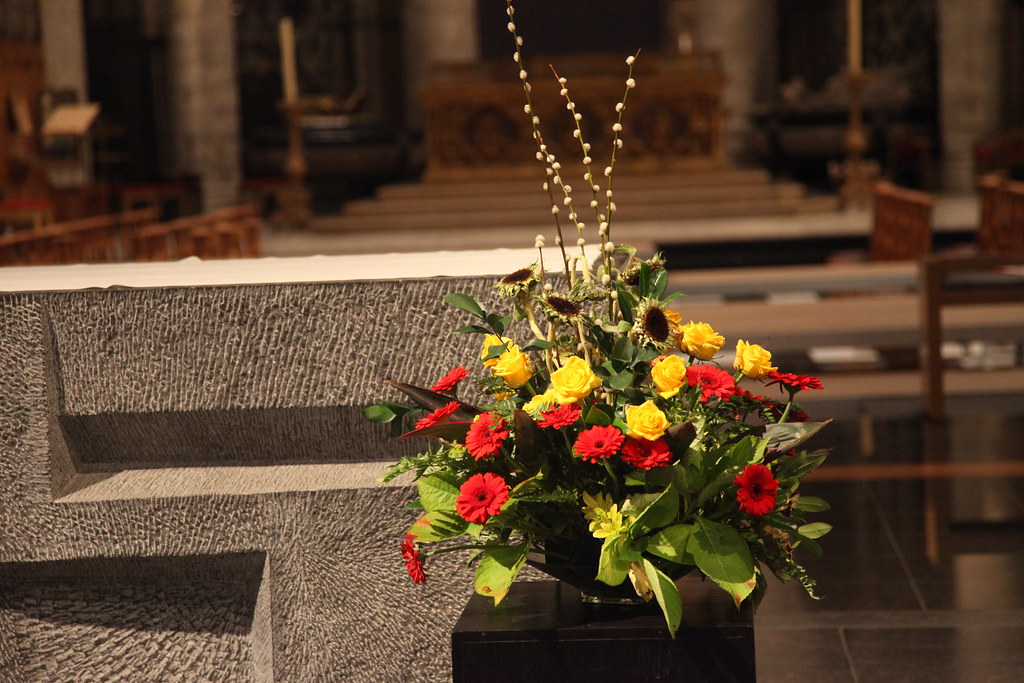13/11/16 - Clôture de l'année de la miséricorde à la cathédrale St Michel