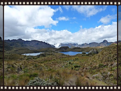 more of Cajas