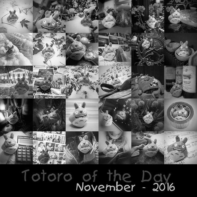 Totoro of the Day - 2016 - November