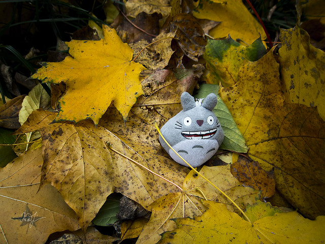 Day #280: totoro is glad that autumn has arrived