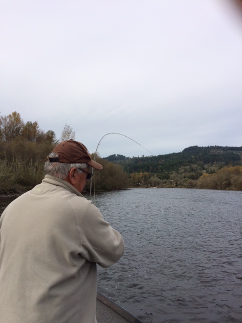 lower mckenzie river fly fishing