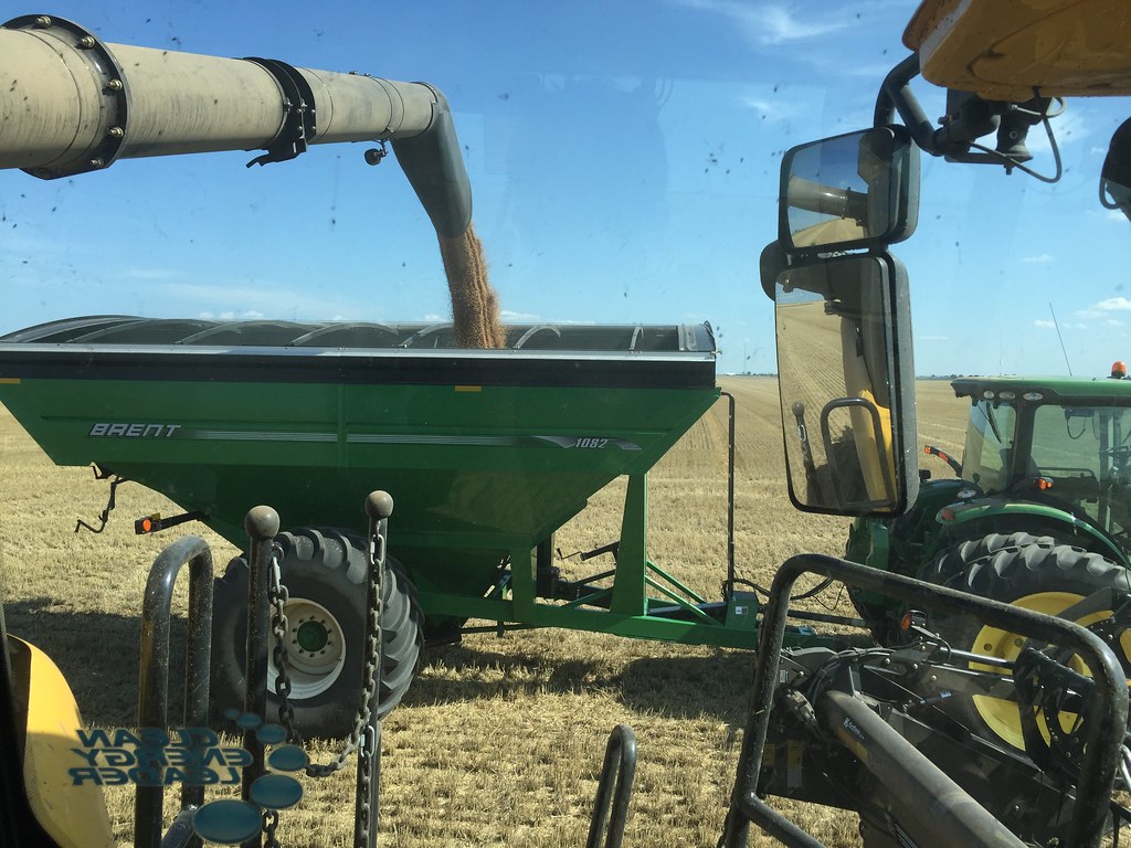 Z Crew: This is what it looks like when you're cutting wheat.