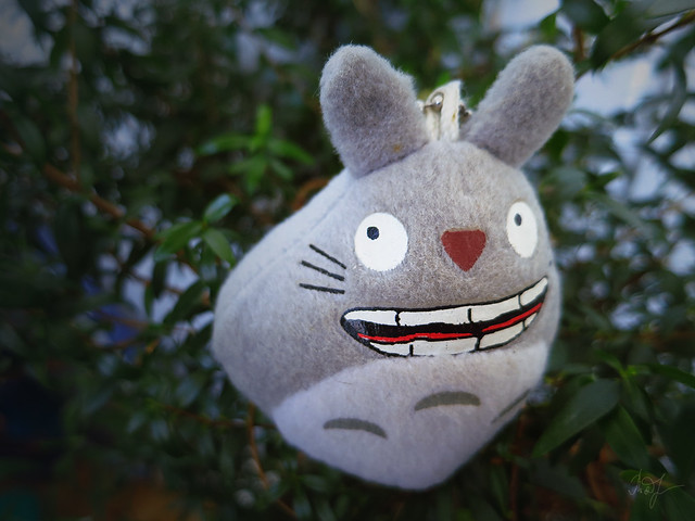 Day #177: totoro thought