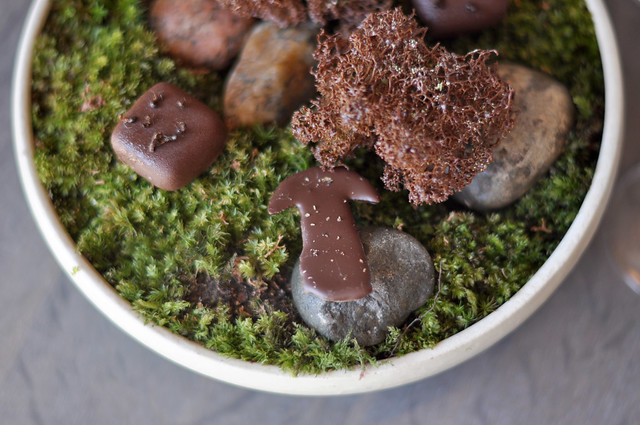 Restaurant Noma: Blåbærchokolade med myrer, Karl Johan overtrukket med chokolade og mos med chokolade
