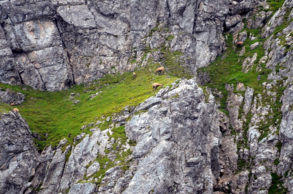 Ab von WH Hütte nach Eibsee